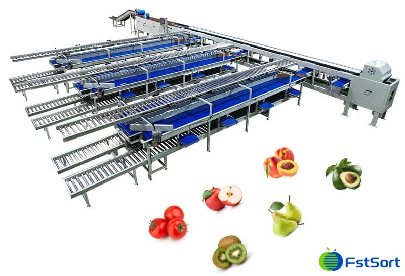 images/1726039319189fruit sorting packing machine.jpg